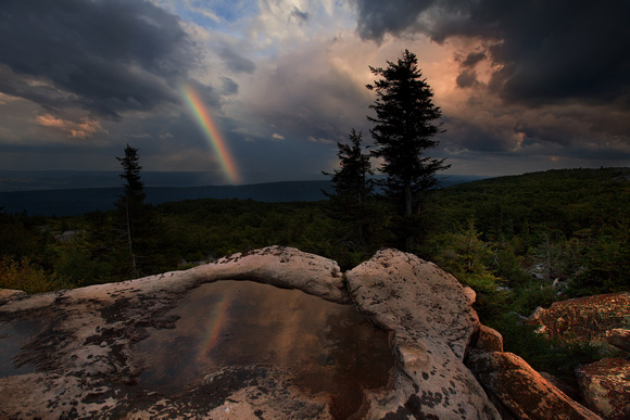 Wind, Rain and a Pot of Gold - Dolly Sods