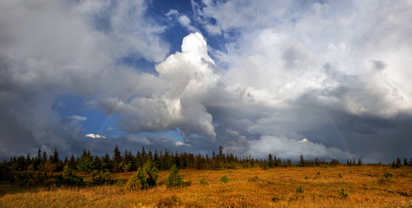 True Colors - Dolly Sods Rainbow